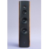 Thiel Audio introduced the TT1 loudspeaker.