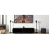 Monitor Audio's all-new MASS Surround system