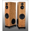 Salk Sound debuts the affordable, high performance, 3-way SS9.5 floorstander.