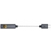 Plug your headphones into iFi's GO link for supercharged sound.