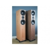 Introducing Skye: A new floorstanding loudspeaker from Ophidian Audio.