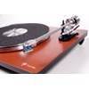 VPI Traveler/Shelter 301 II