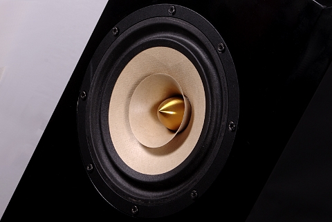 Rois Acoustics Kalypso Passive.