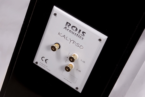 Rois Acoustics Kalypso Passive.