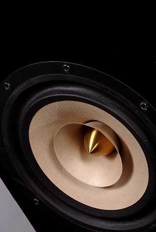 Rois Acoustics Kalypso Passive.